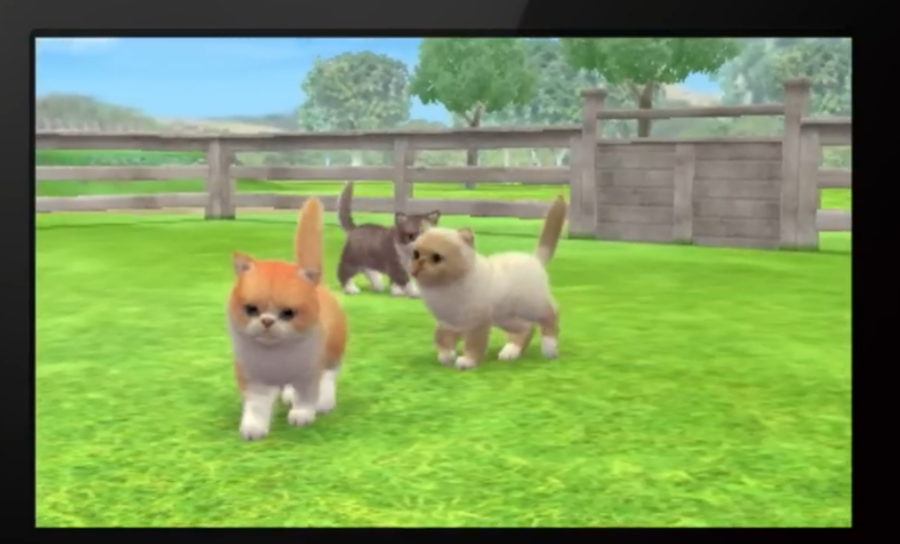 Capture d'Ã©cran 5